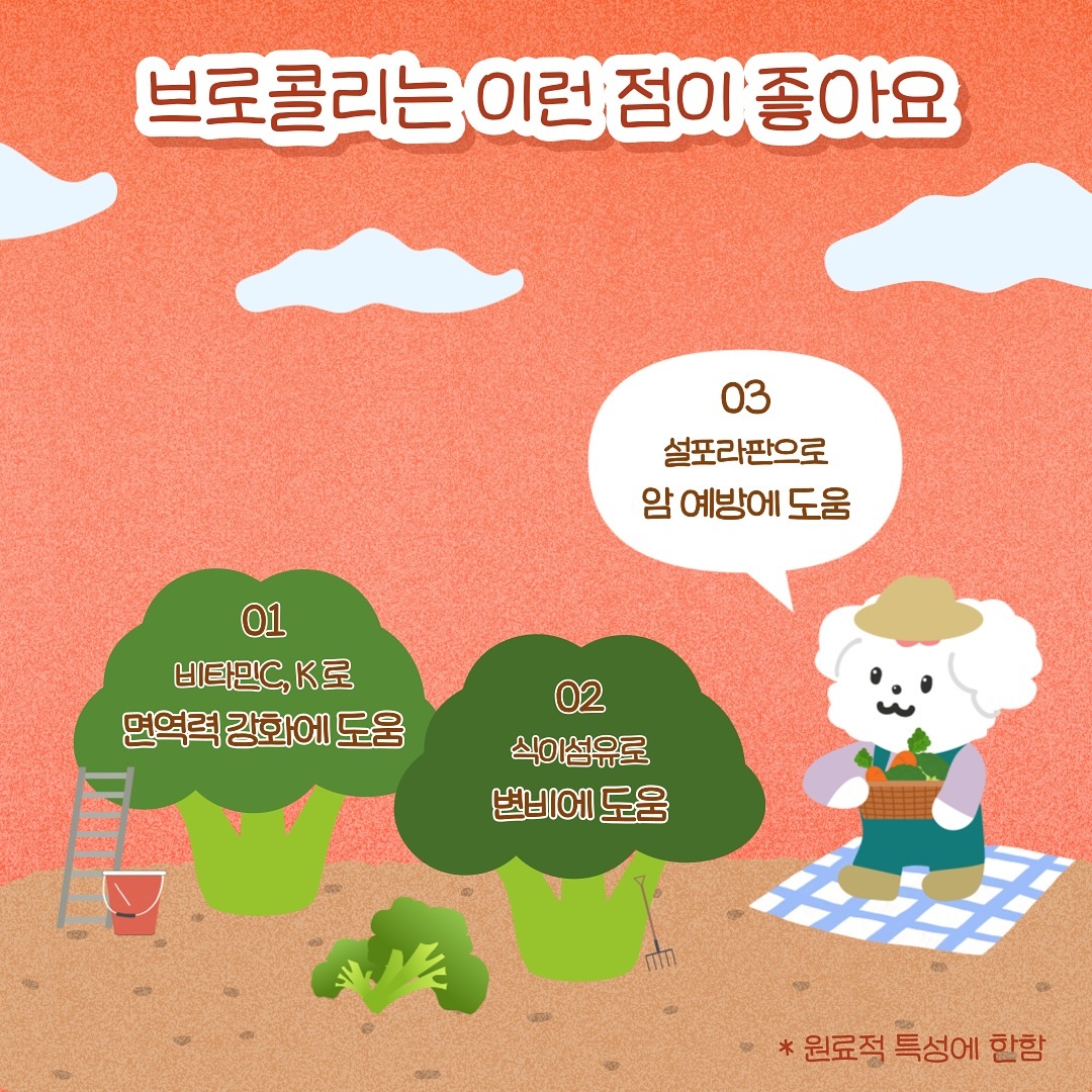 韓國 Seagem 油甘魚貓狗肉泥 (眼睛保健) 12g x 4本