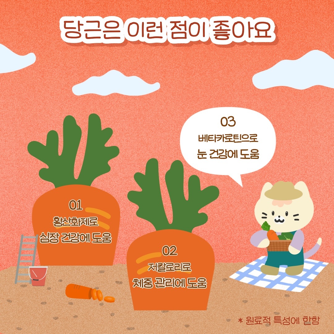 韓國 Seagem 油甘魚貓狗肉泥 (眼睛保健) 12g x 4本