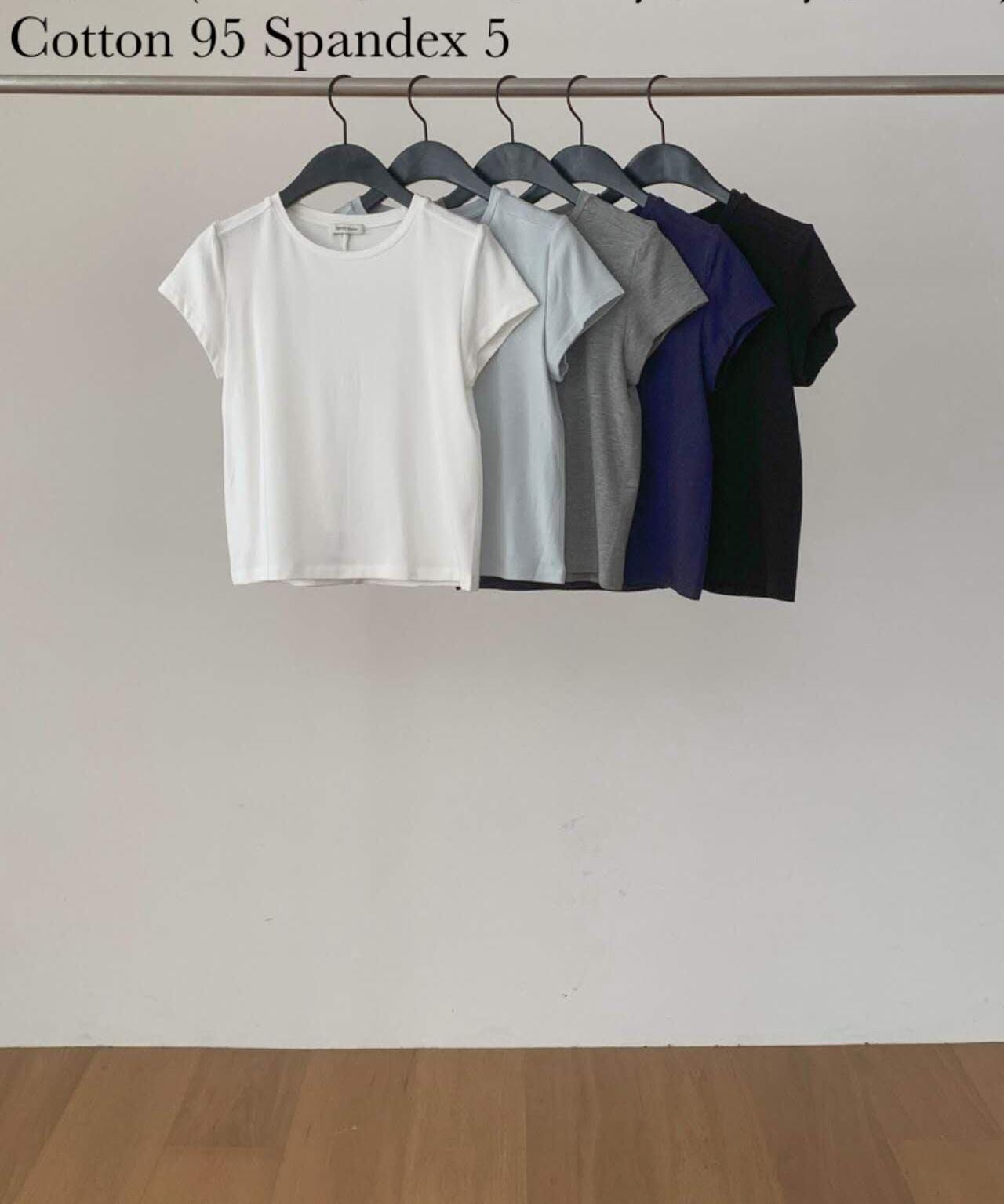 DR5037 彈性圓領貼身短版上衣