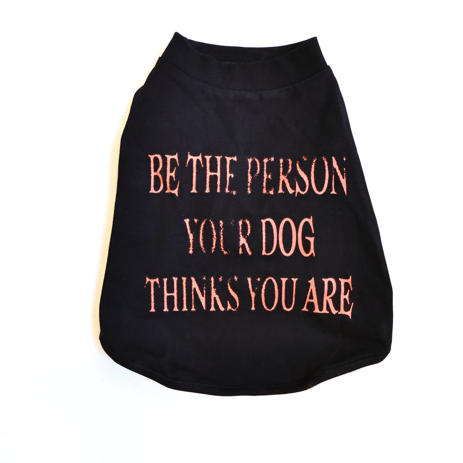 Chipasu - 狗短踢 做好人