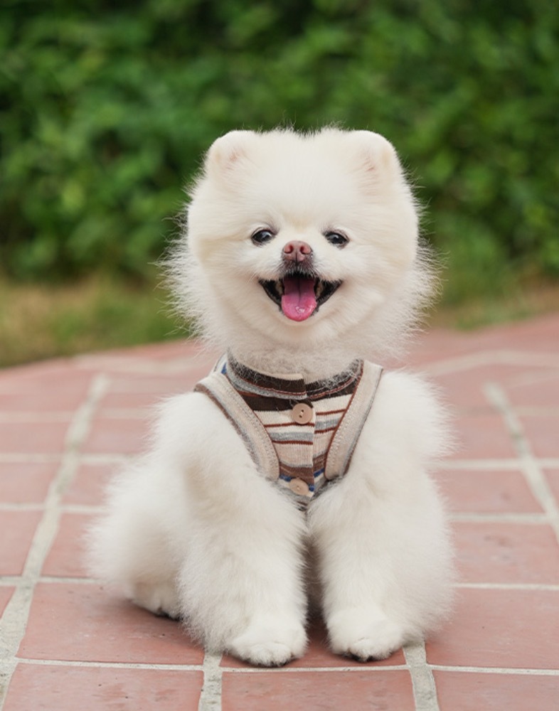 Noutti Matilda 條紋開襟衫_咖啡