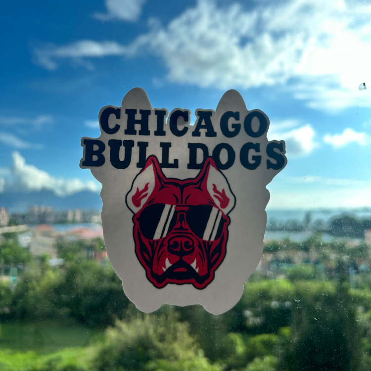 Recreated NBA Team Logo 無痕貼  [預售]