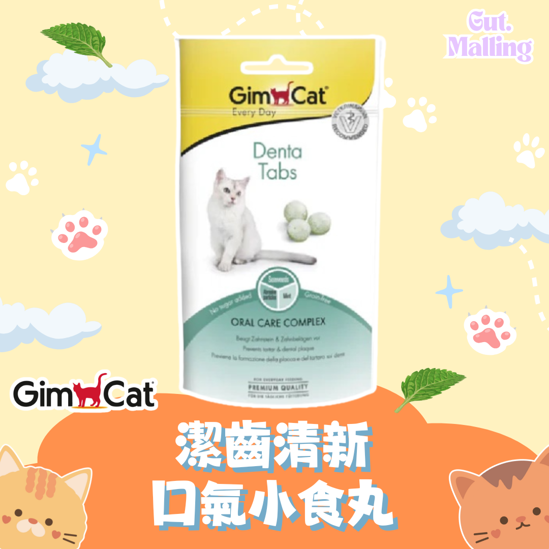 GimCat 潔齒清新口氣小食丸 40g