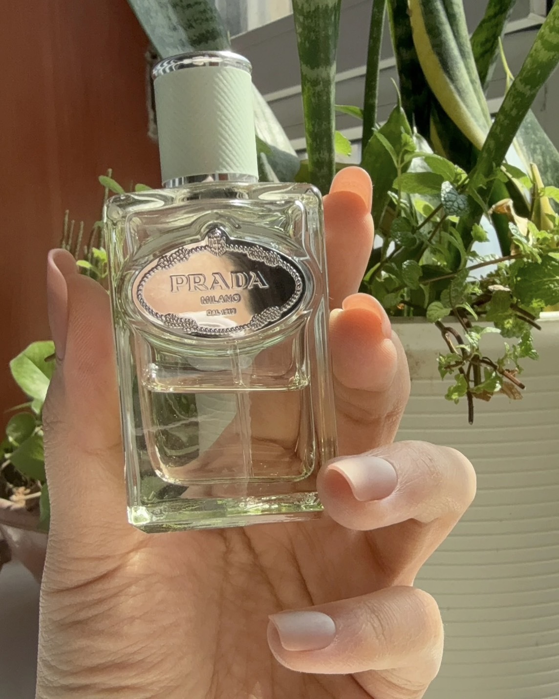 <清冷感>PRADA 水印私藏系列 浮夢鳶尾 30ml
