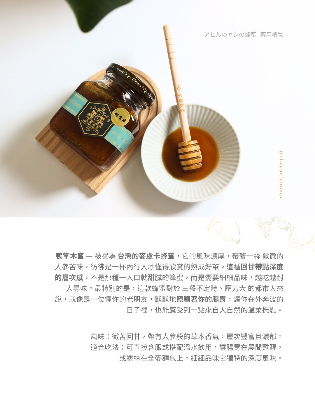 【直播】泉發 LL91704 鴨掌木蜜250g