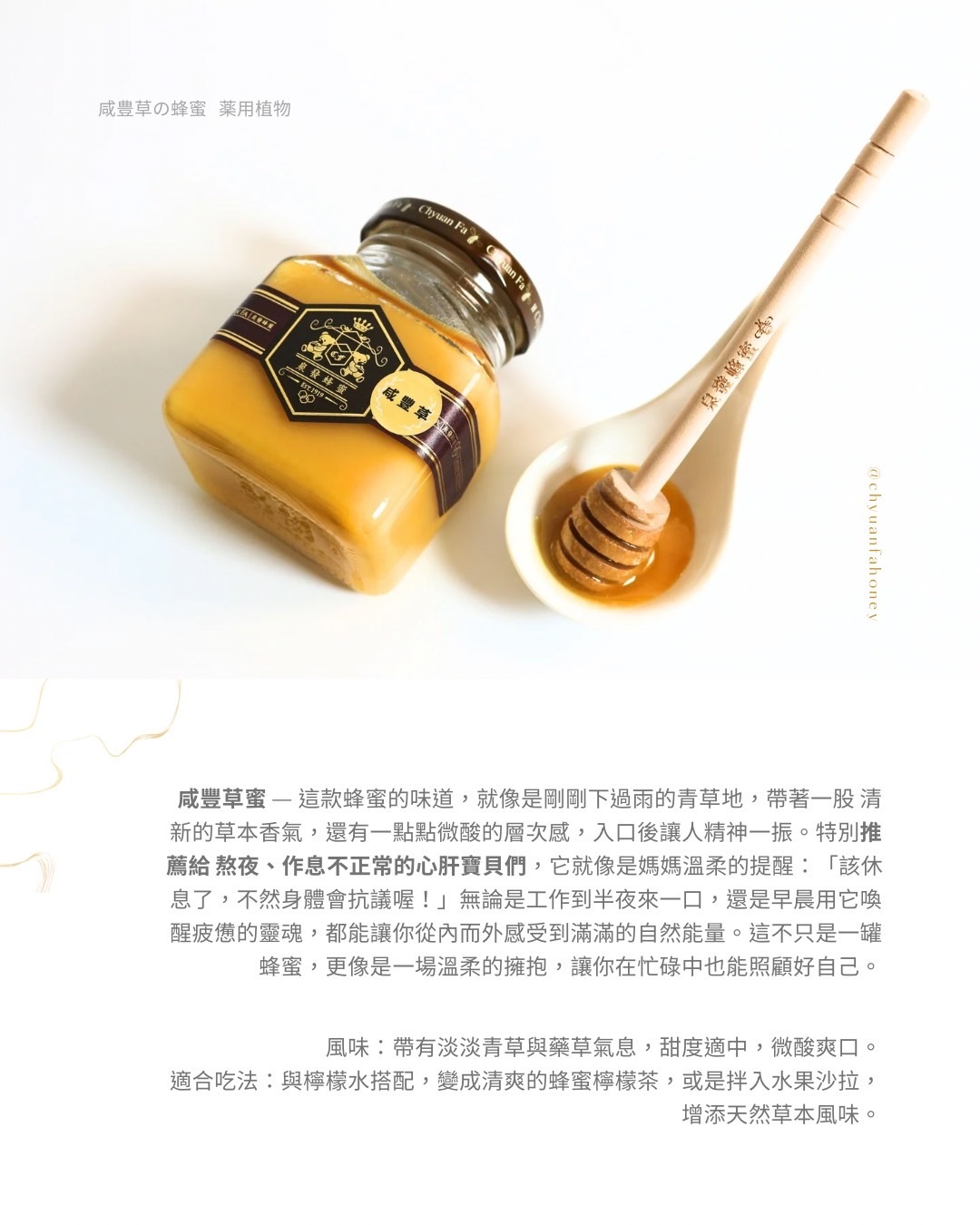 【直播】泉發 LL91706 咸豐草蜂蜜 250g