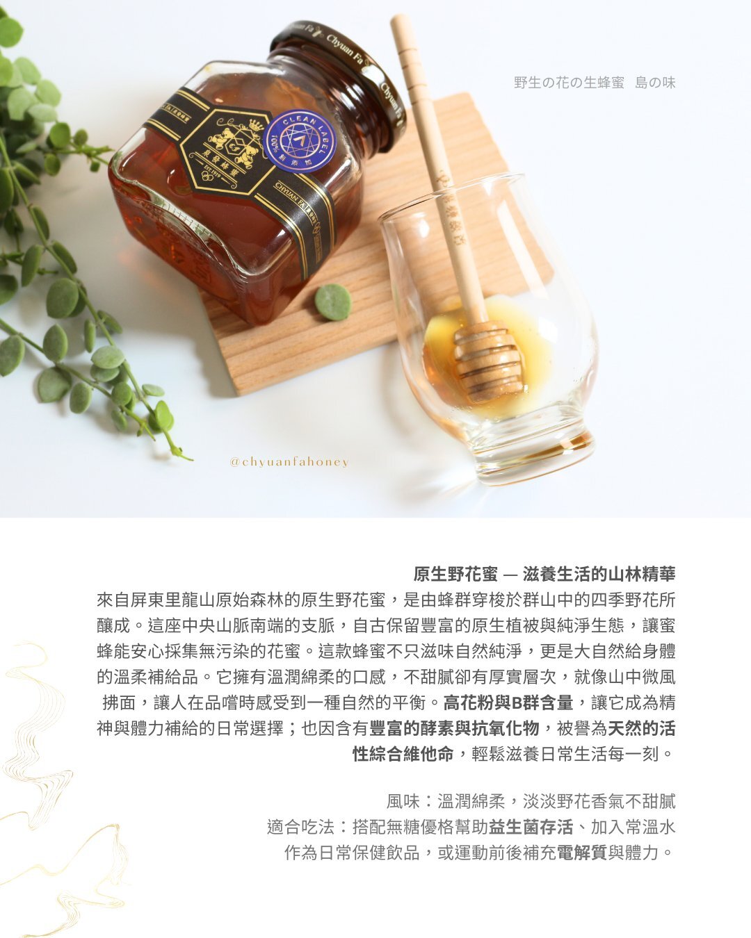 【直播】泉發 LL91702 特選原生野花蜜250g