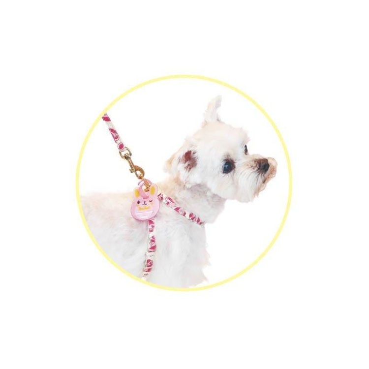 PetzRoute 拖帶用 140日外出驅蟲掛牌 S 兔仔