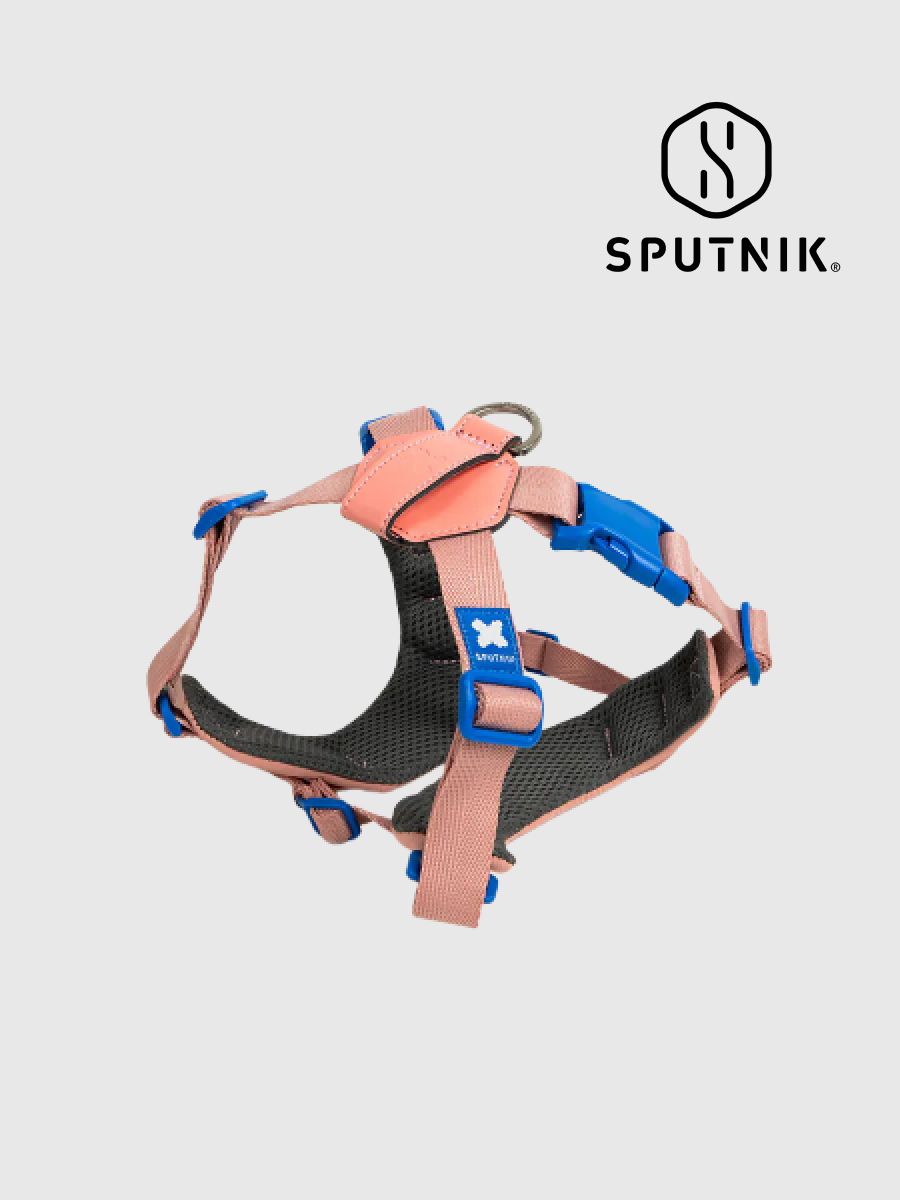 【SPUTNIK】10TH YEAR︱胸背帶 粉色