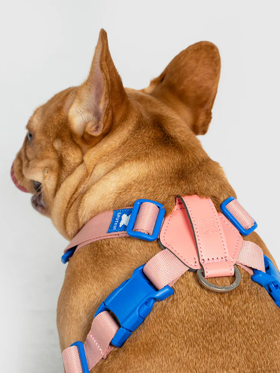 【SPUTNIK】10TH YEAR︱胸背帶 粉色