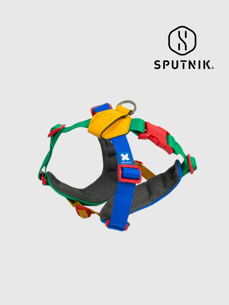 【SPUTNIK】10TH YEAR︱胸背帶 拼色