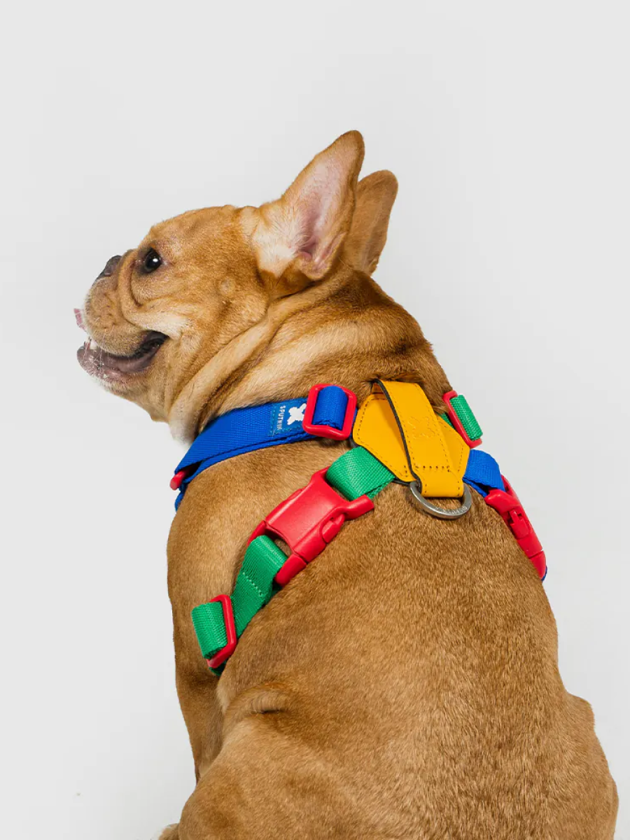 【SPUTNIK】10TH YEAR︱胸背帶 拼色