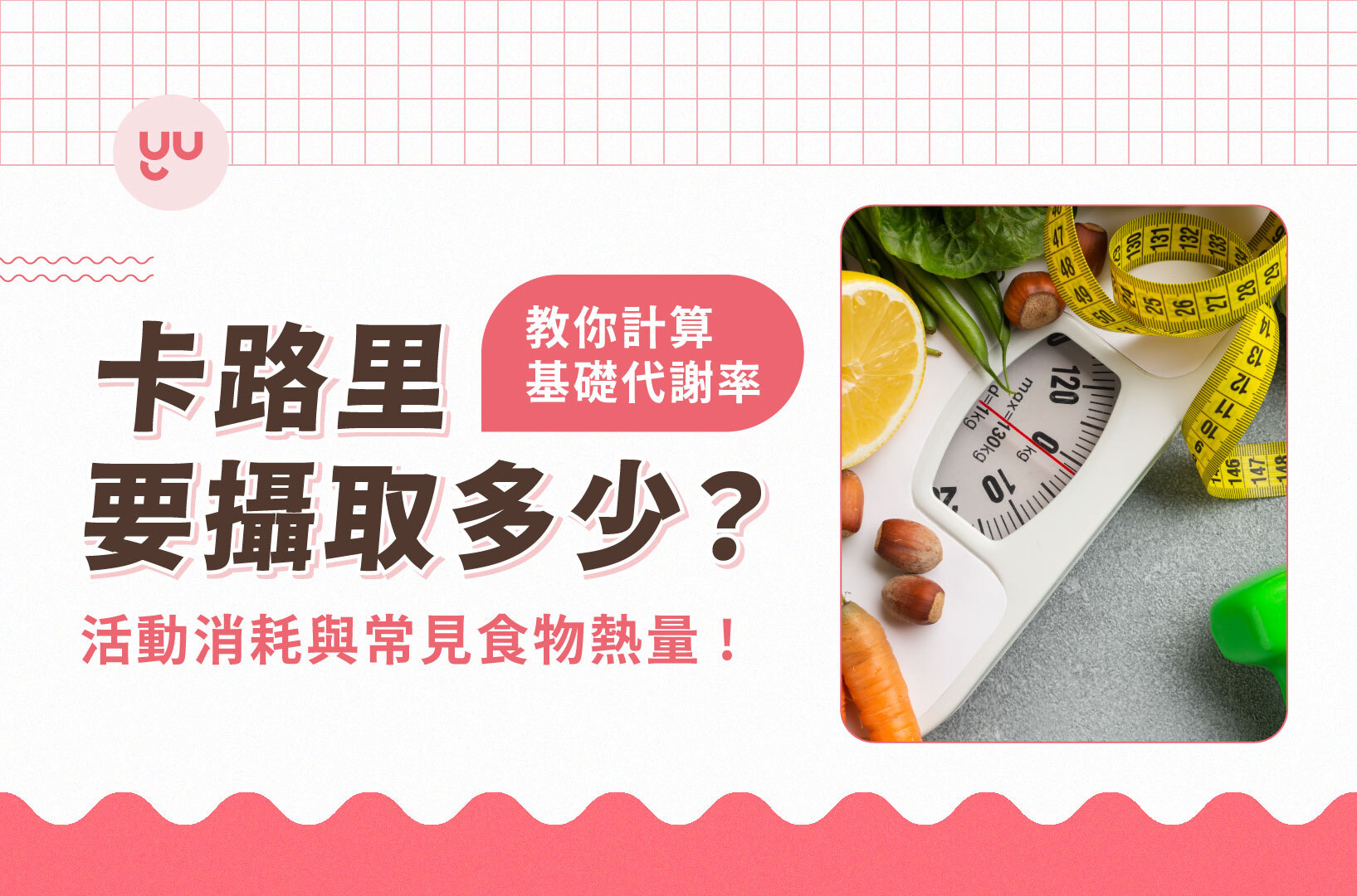 卡路里要攝取多少？教你計算基礎代謝率、活動消耗與常見食物熱量