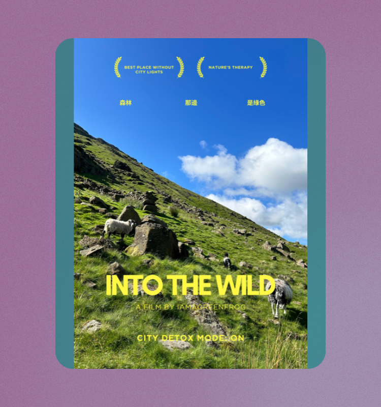 *Into the Wild* Quotes Poster [預售]