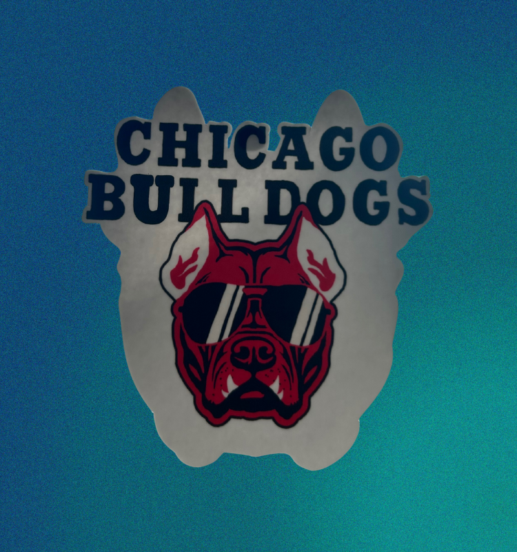 Recreated NBA Team Logo 無痕貼  [預售]