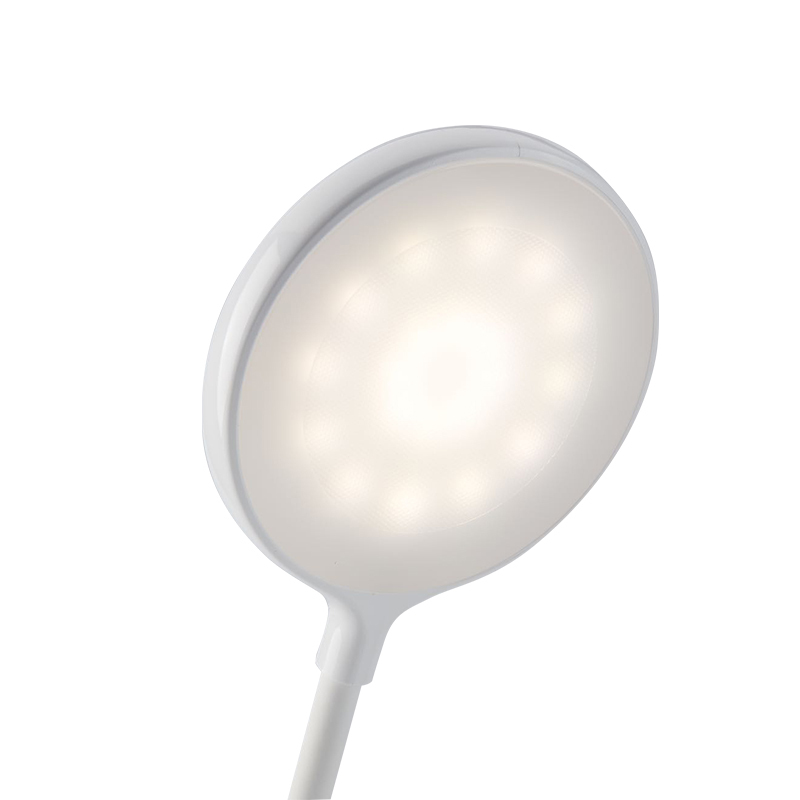 66253 P3 Portable Desk Light