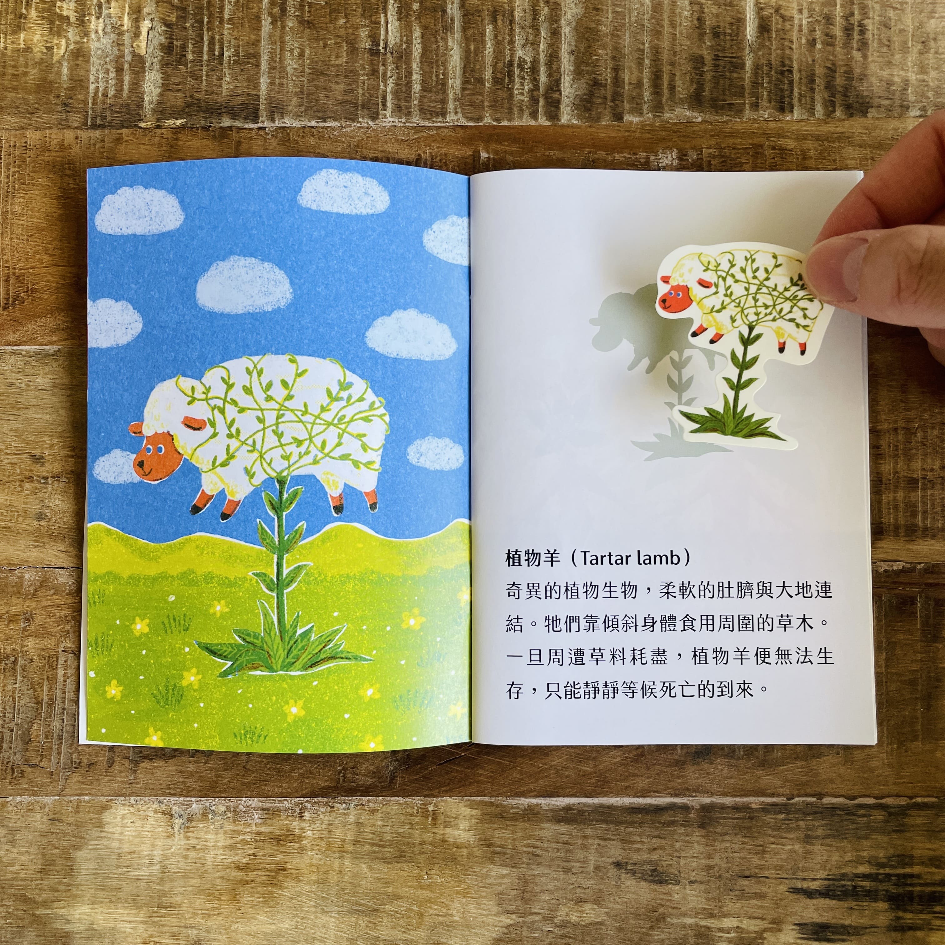 奇幻生物/插畫小書/繪本