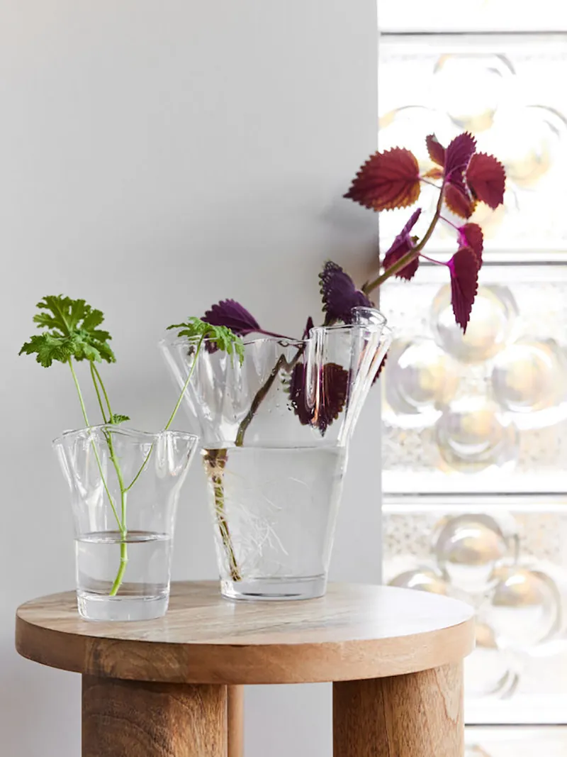 Sagaform-Viva 花瓶,透明色S號及L號,插上紫蘇,簡單又充滿藝術性。