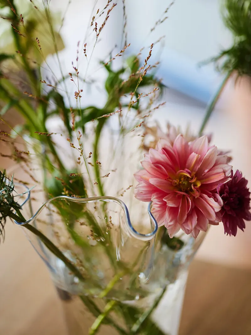 Sagaform-Viva 花瓶,透明色S號,插上粉紅色的菊花,漸層的光澤襯托出菊花的單純美感。