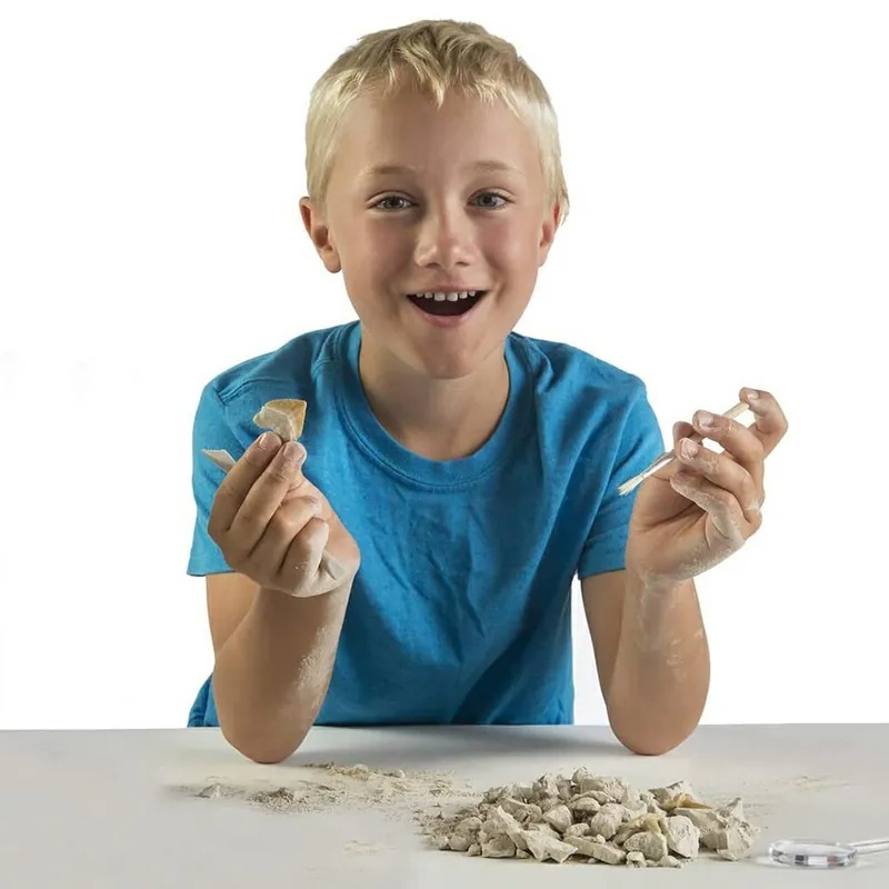 NATIONAL GEOGRAPHIC 國家地理 探秘鯊齒挖掘套組