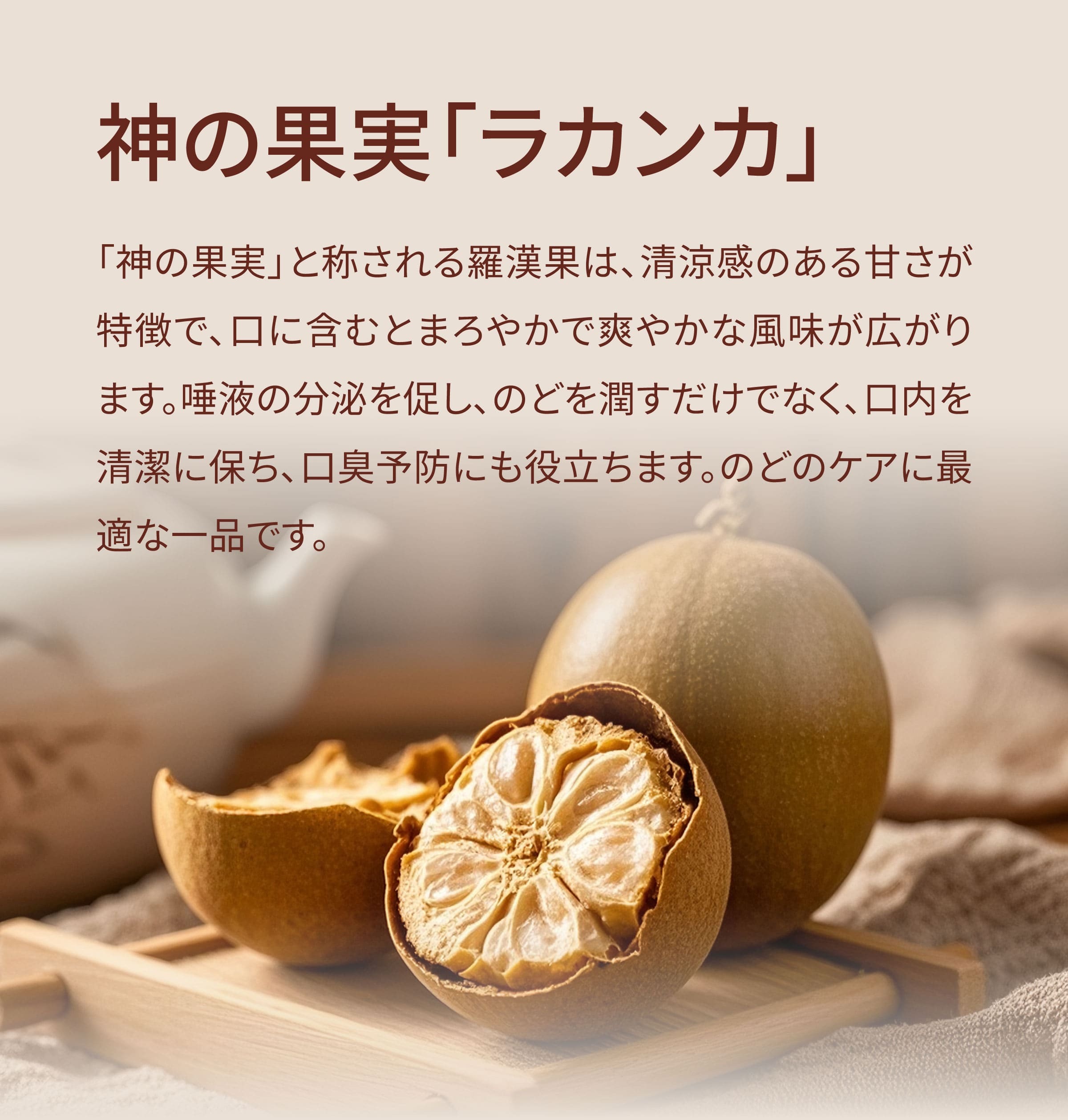 Dengyi 漢方茶(胖大海とラカンカ)の紹介