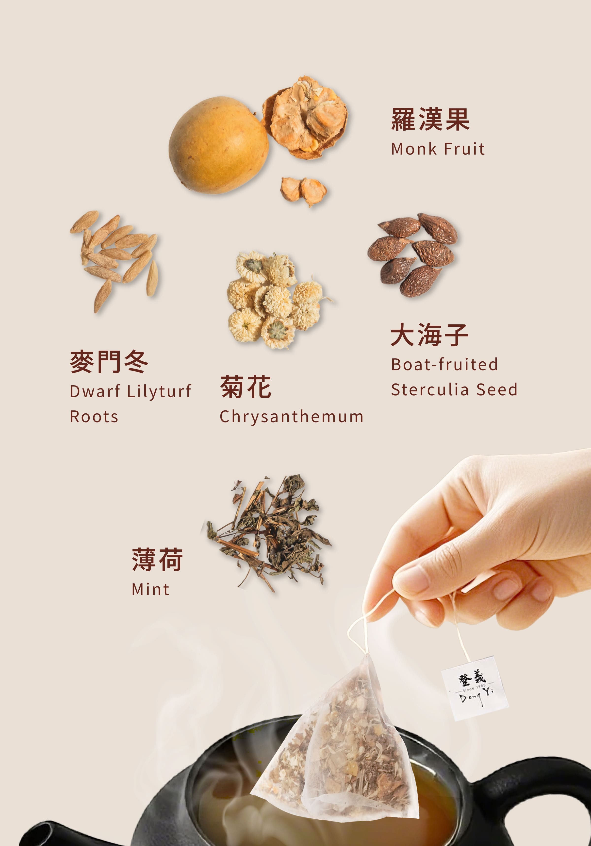 Dengyi 漢方茶(胖大海とラカンカ)の材料
