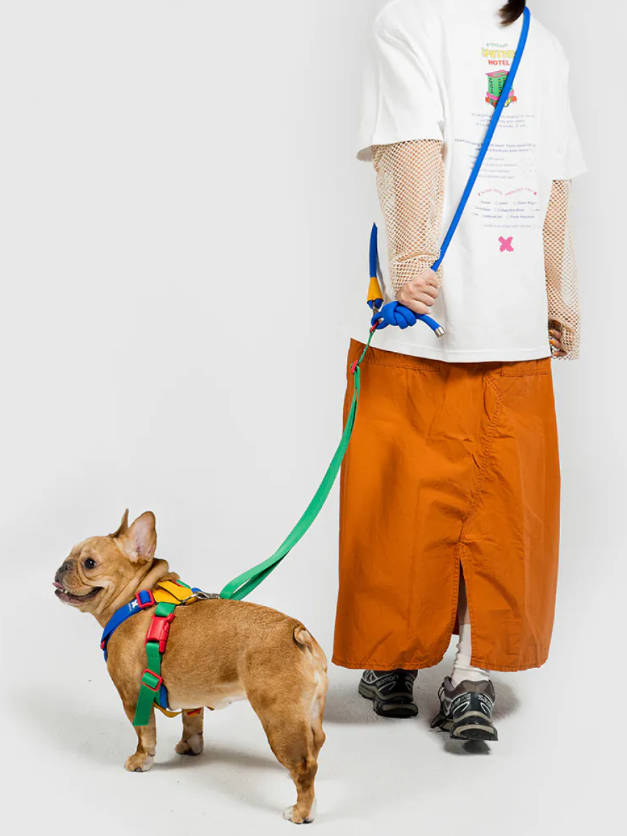 【SPUTNIK】10TH YEAR︱多功能圓牽繩 拼色