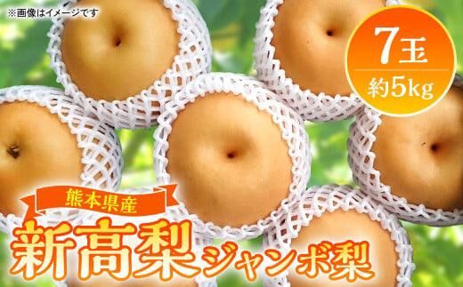 九洲熊本熊ジャンボ吉野梨の新高梨 (5kg)