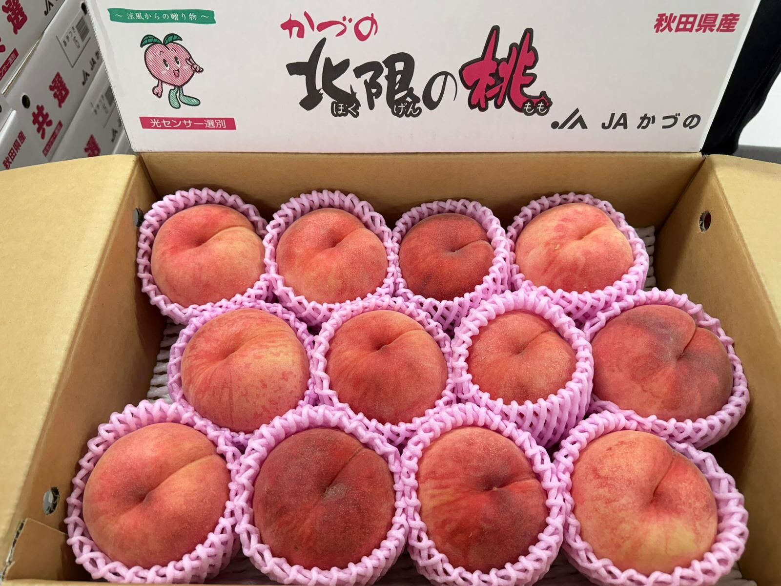 秋田桃禮盒 (精選/特秀品) (5kg)