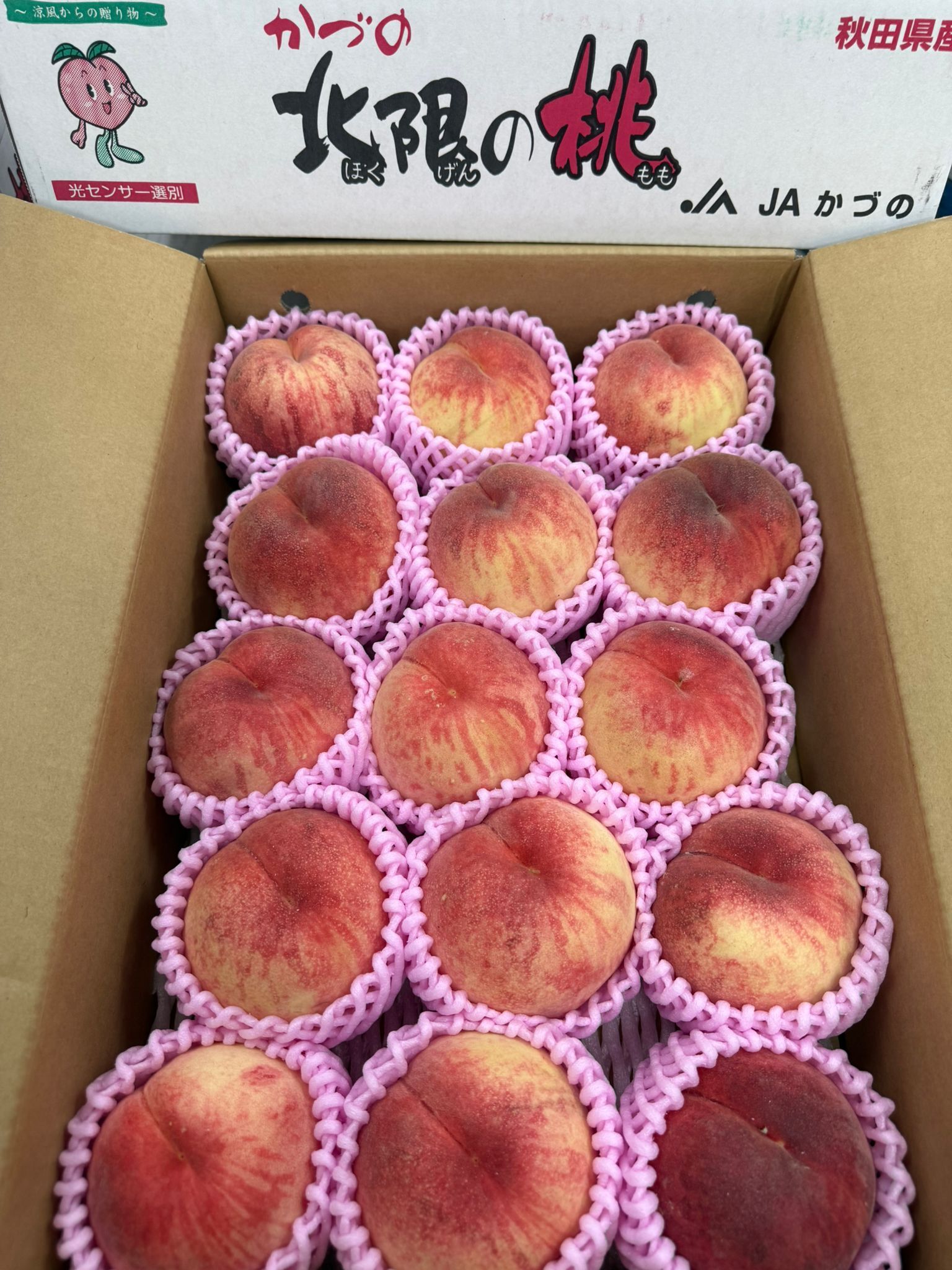 秋田桃禮盒 (精選/特秀品) (5kg)