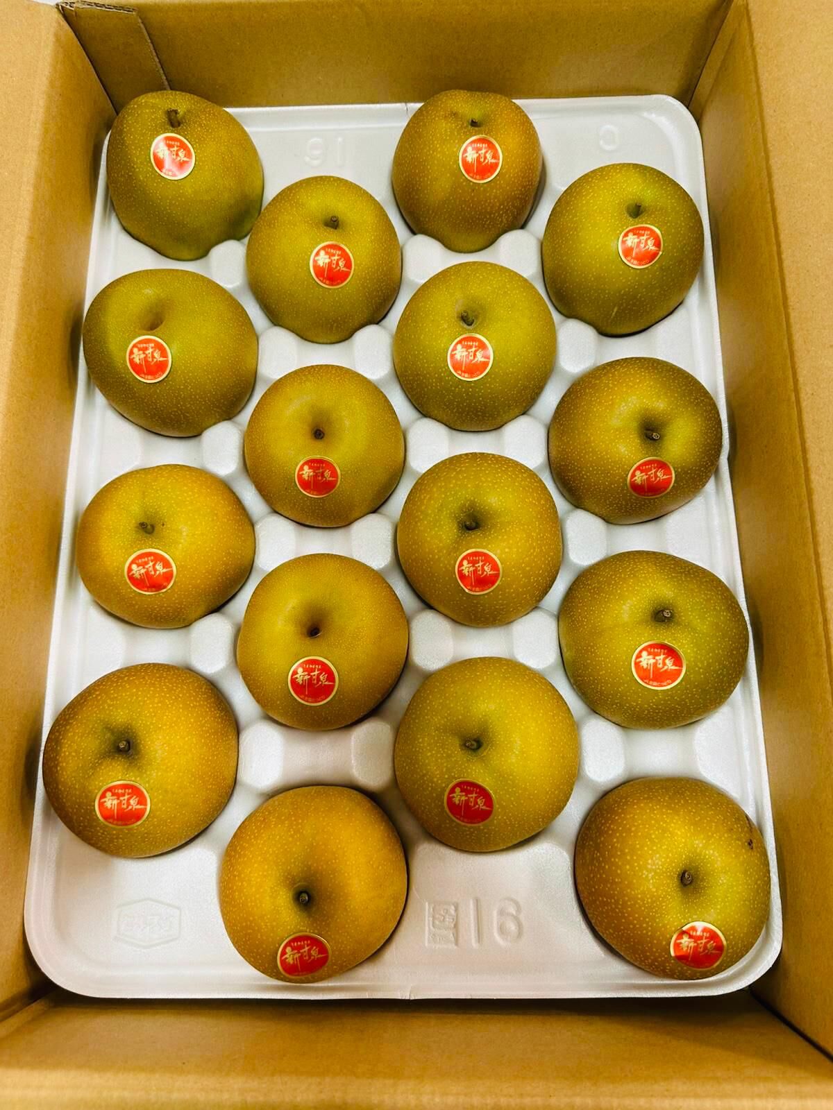 鳥取 新甘泉梨 (5kg)