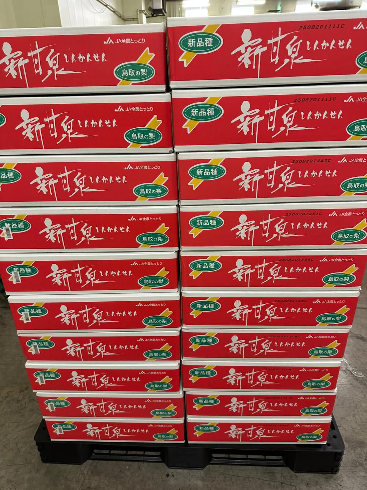 鳥取 新甘泉梨 (5kg)