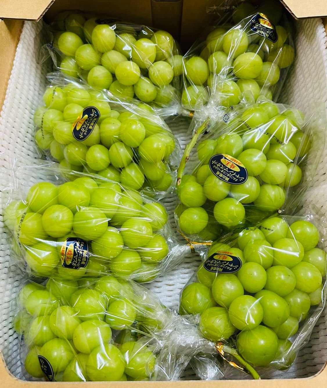 岡山 晴王提子 (5kg)