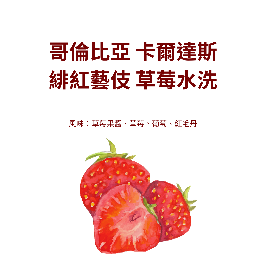 【咖啡生豆】最新批次 哥倫比亞 卡爾達斯 緋紅藝伎 草莓水洗