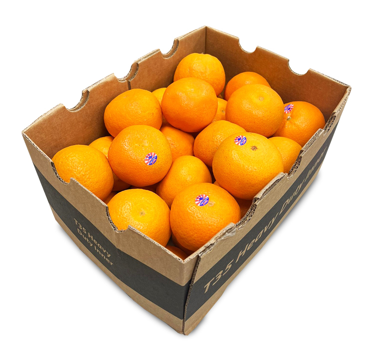 Australia Mandarin [ Box|30-36PCS ]