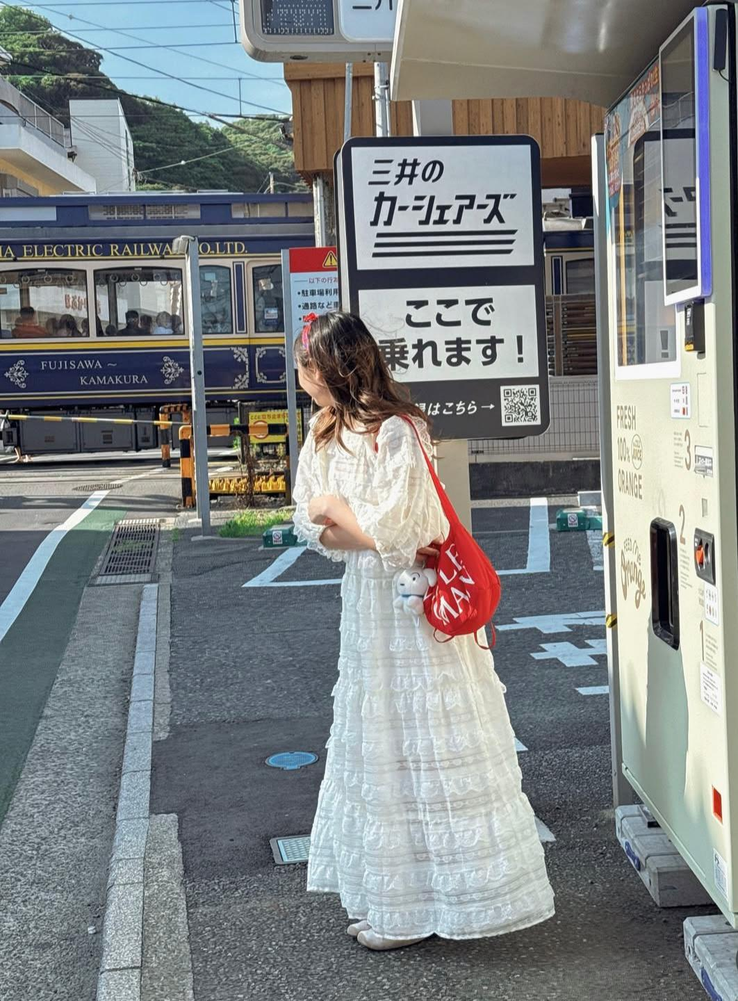 Gentle Woman Dumpling Bag(Red Tomato)