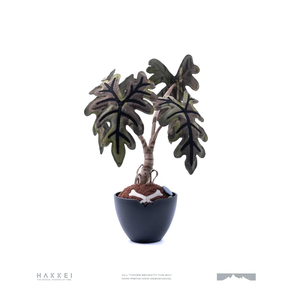 HAKKEI 焦土傑克林