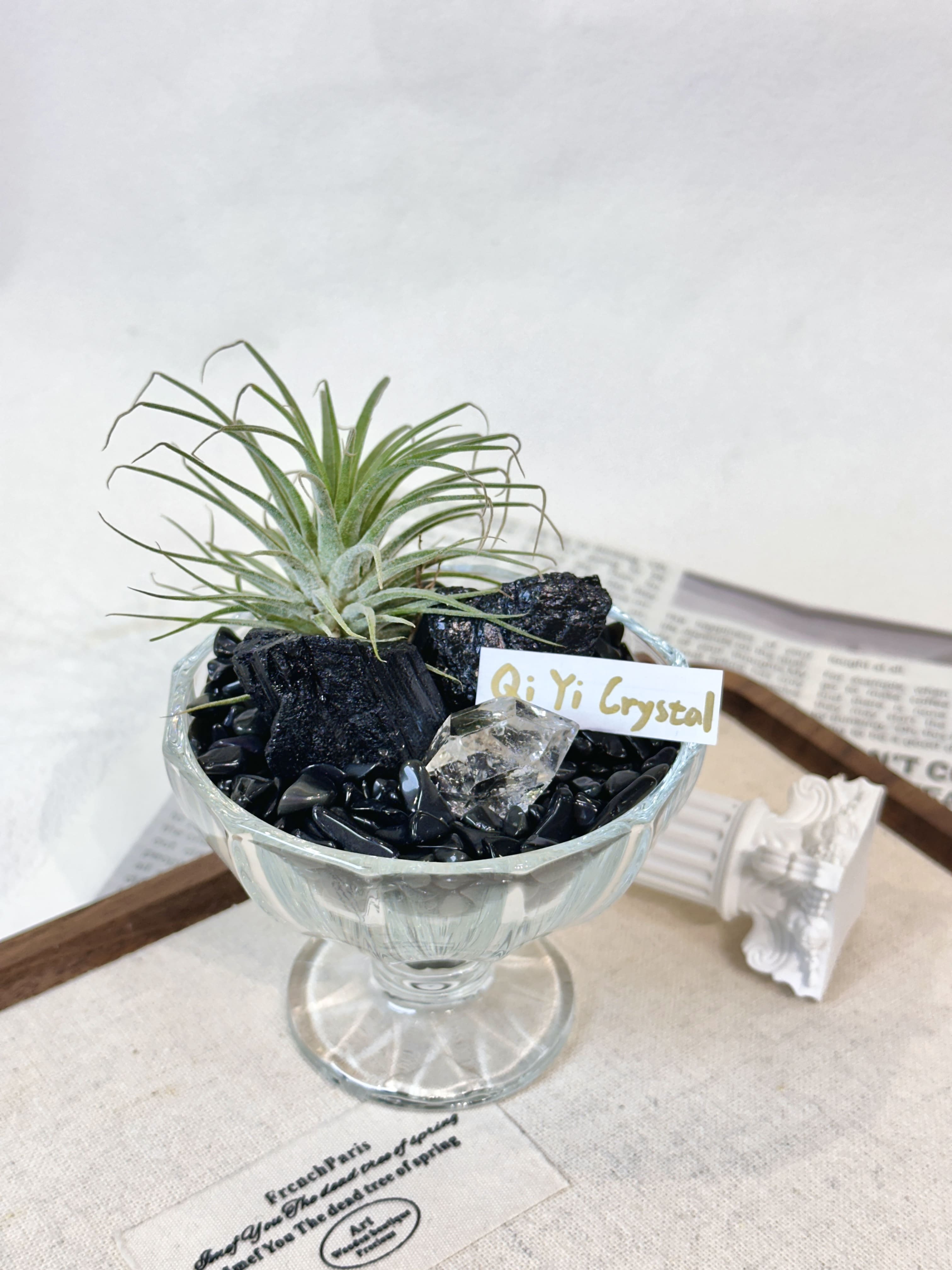 聚能守護｜黑碧璽 x 閃靈晶 x 黑曜石能量盆栽 DIY套組