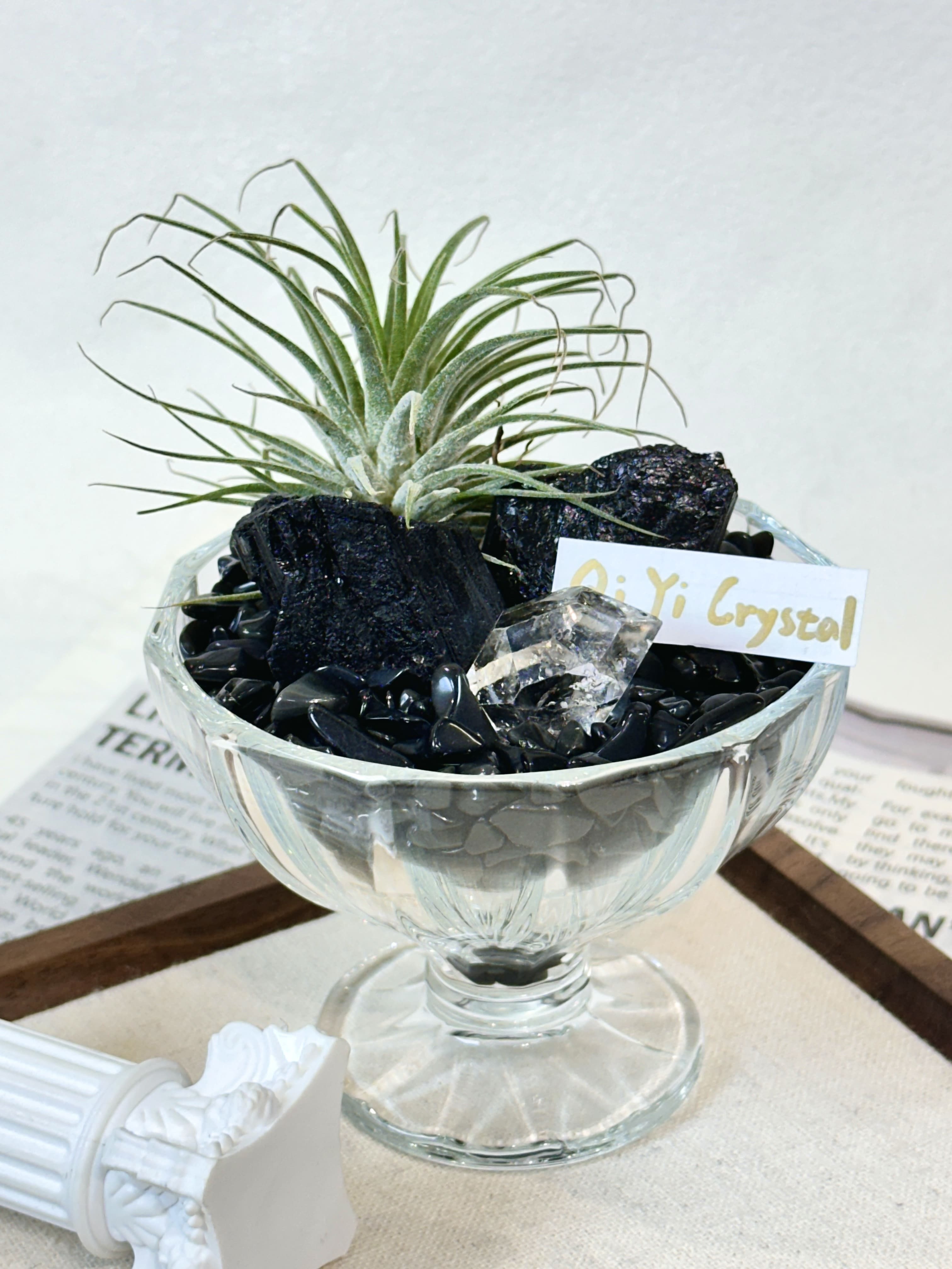 聚能守護｜黑碧璽 x 閃靈晶 x 黑曜石能量盆栽 DIY套組