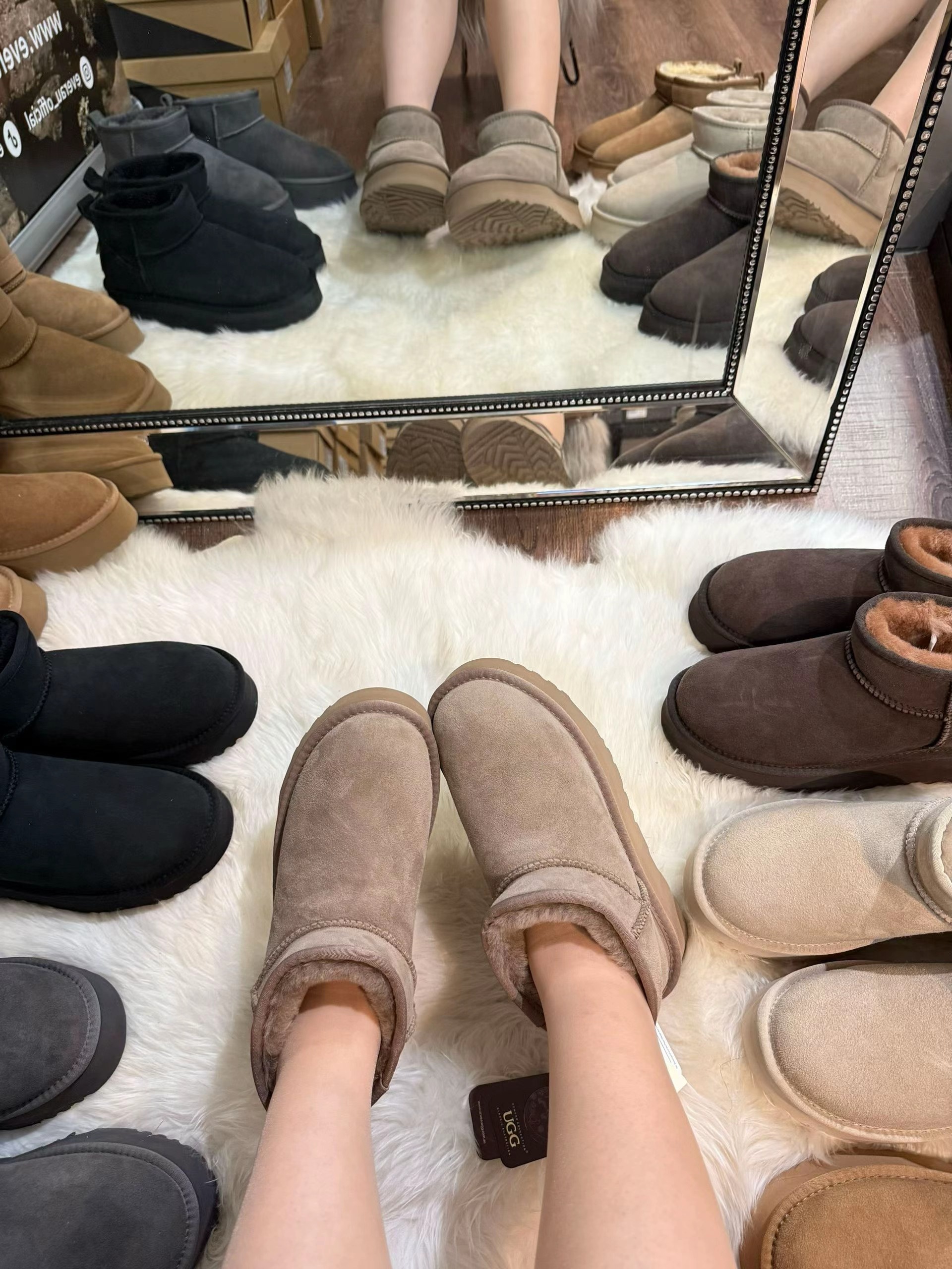 UGG Classic Mini II 中筒靴 (Australian Sheppard)