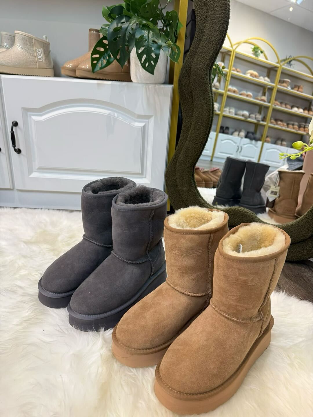 UGG 經典厚底中筒靴 (Australian Sheppard)