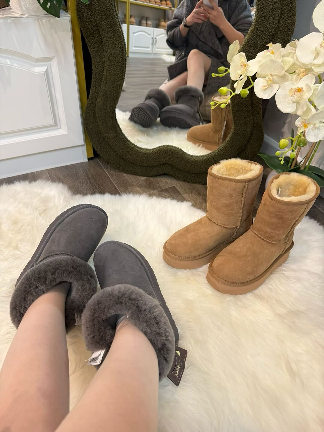 UGG 經典厚底中筒靴 (Australian Sheppard)