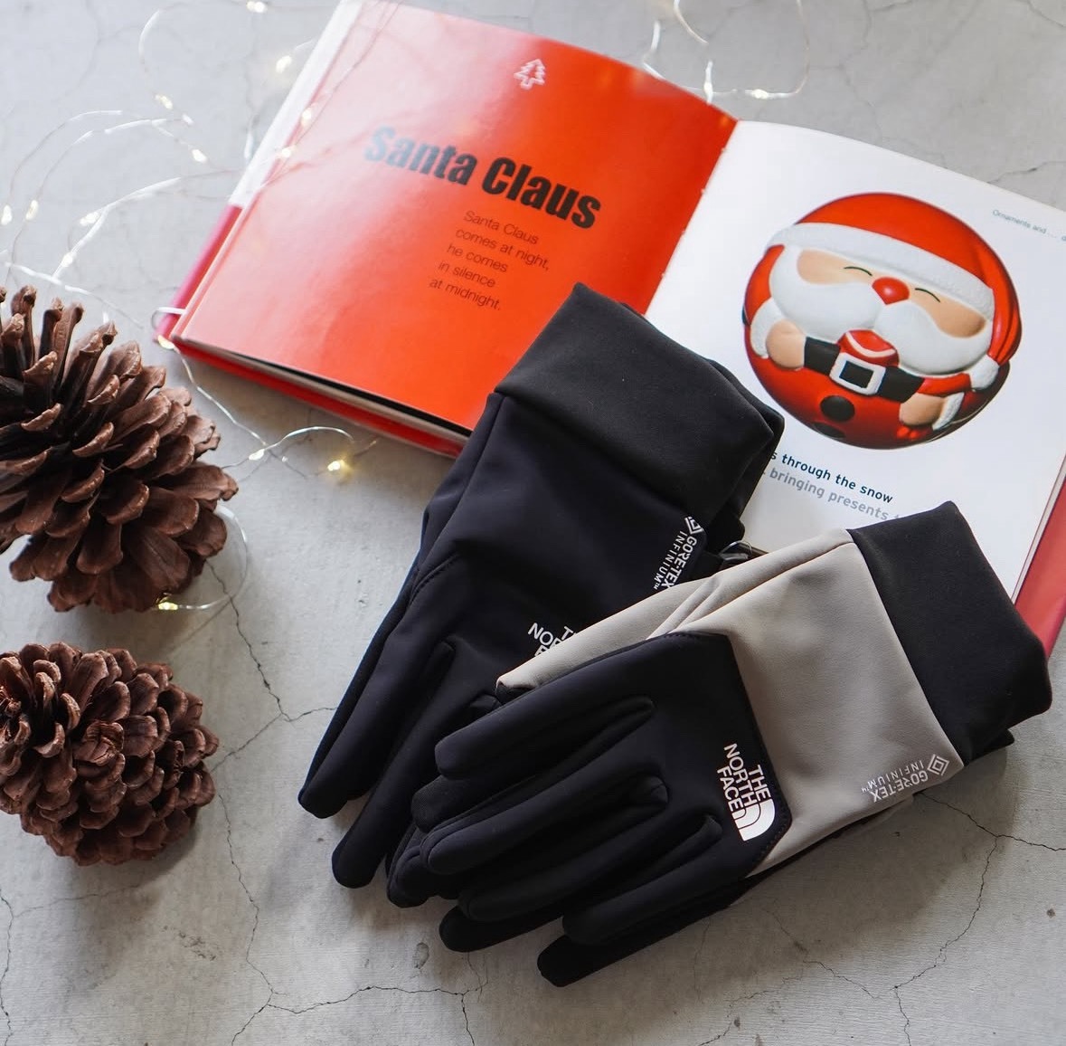 日本 THE NORTH FACE｜GTX WINDSTOPPER E-TIP 手套