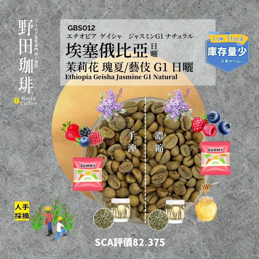 埃塞俄比亞茉莉花瑰夏G1 日曬-野田珈琲