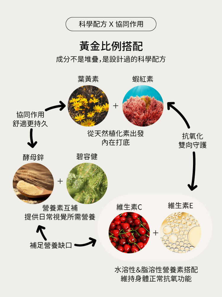 潤晶萃葉黃素協同配方介紹-CHEGO營養補給