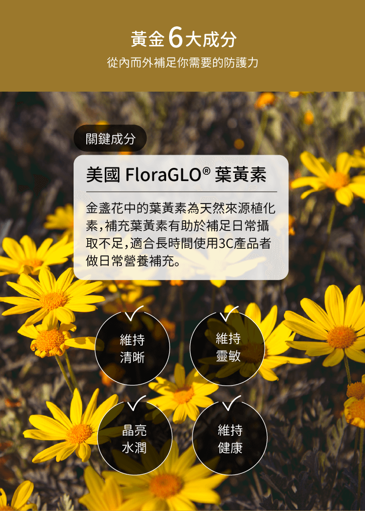 潤晶萃採用美國FloraGLO專利葉黃素-CHEGO營養補給
