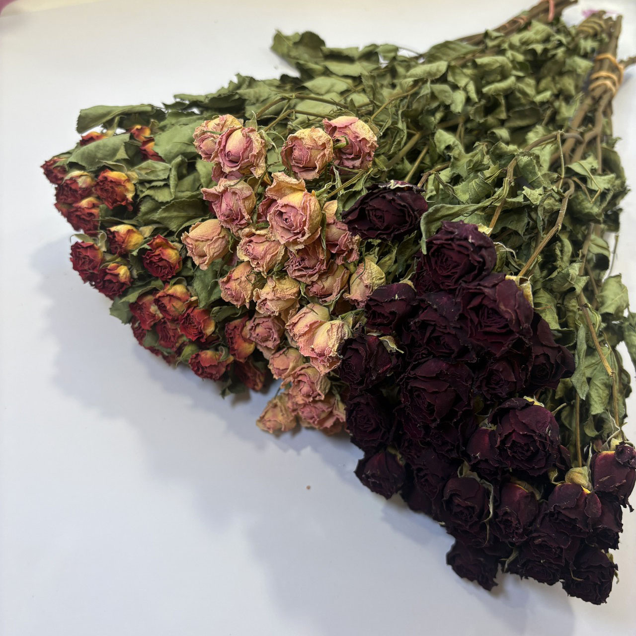 迷你乾燥玫瑰（荷蘭）