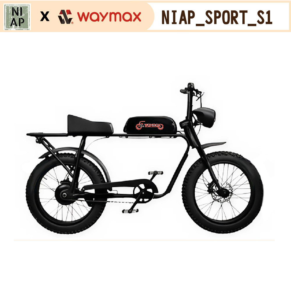 Waymax x NIAP聯名電輔車 S1⚡