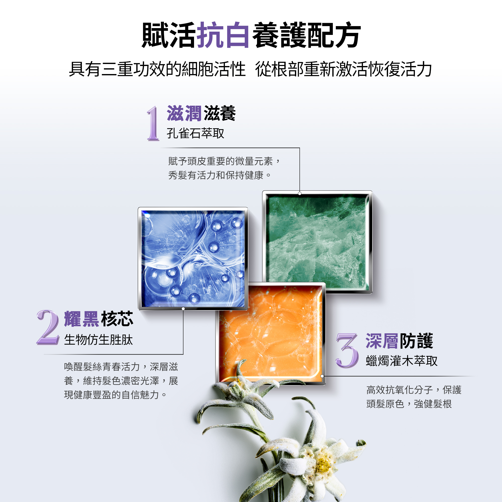 微導再生賦活奇肌 MR雪絨花抗白耀黑菁萃