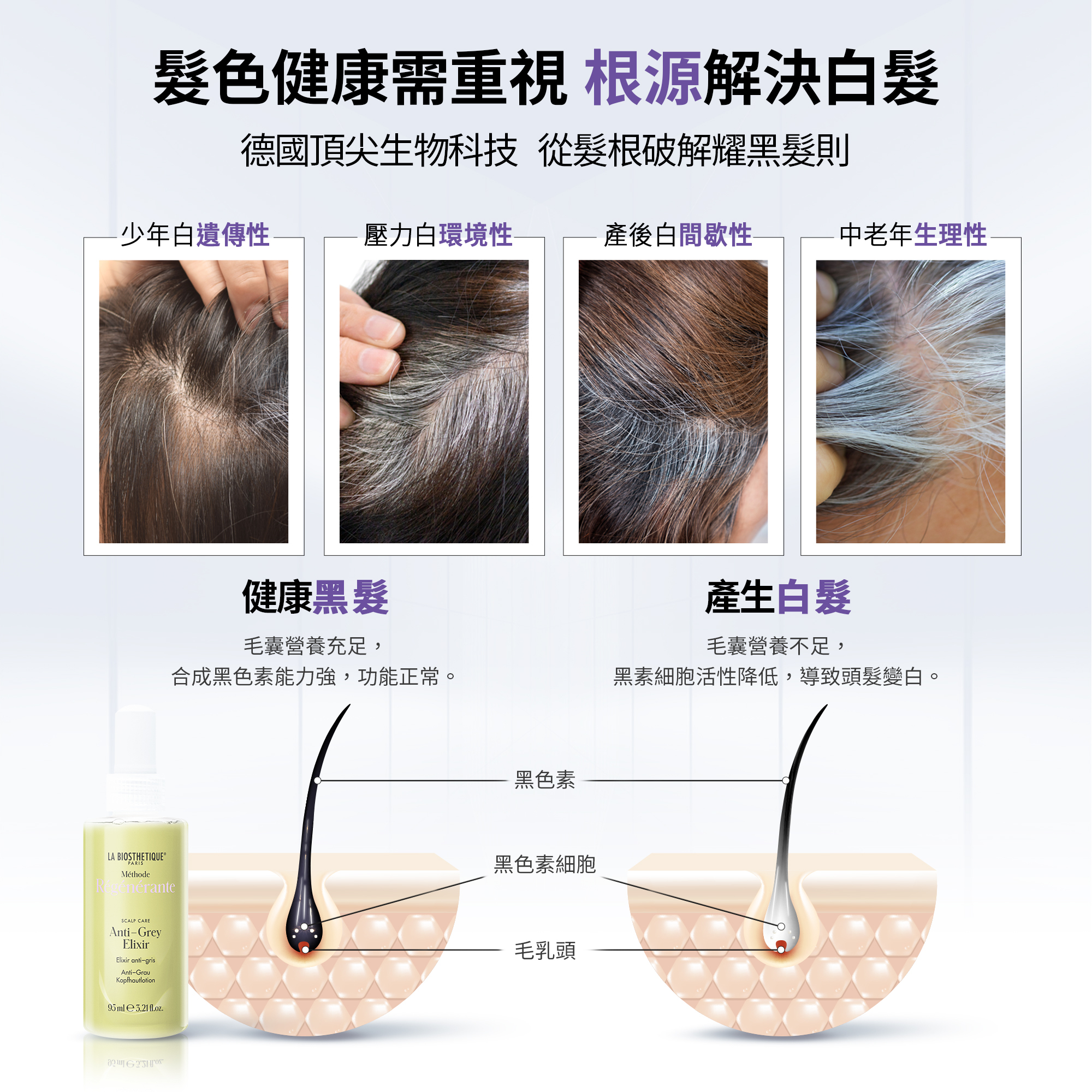 微導再生賦活奇肌 MR雪絨花抗白耀黑菁萃